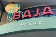 Baja - Spring Newsletter 2023 