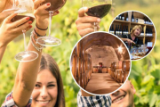 Alpine Wine Tours - Trade Newsletter 