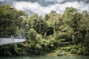 Hollyford Wilderness Experience Ngāi Tahu Tourism 